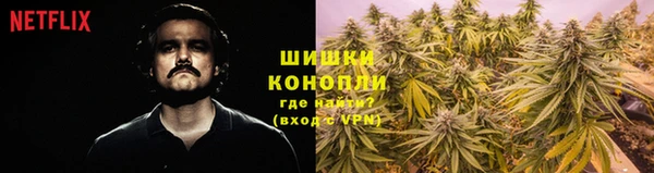 дмт Верея