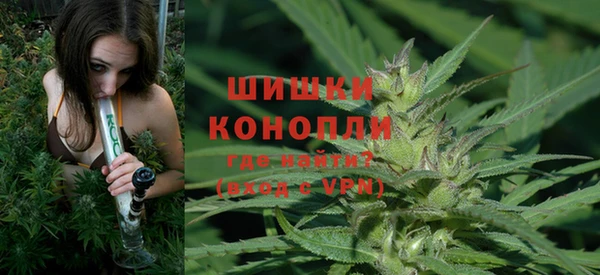 дмт Верея