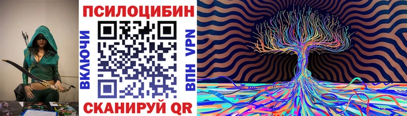 Псилоцибиновые грибы Cubensis  где можно купить наркотик  shop как зайти  Нестеровская 